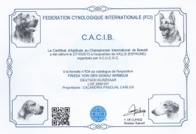 C.A.C.I.B Federación Cinológina Internacional, Valls Octubre 2013